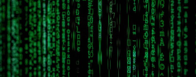 The Naturist Society Foundation's Privacy Statement